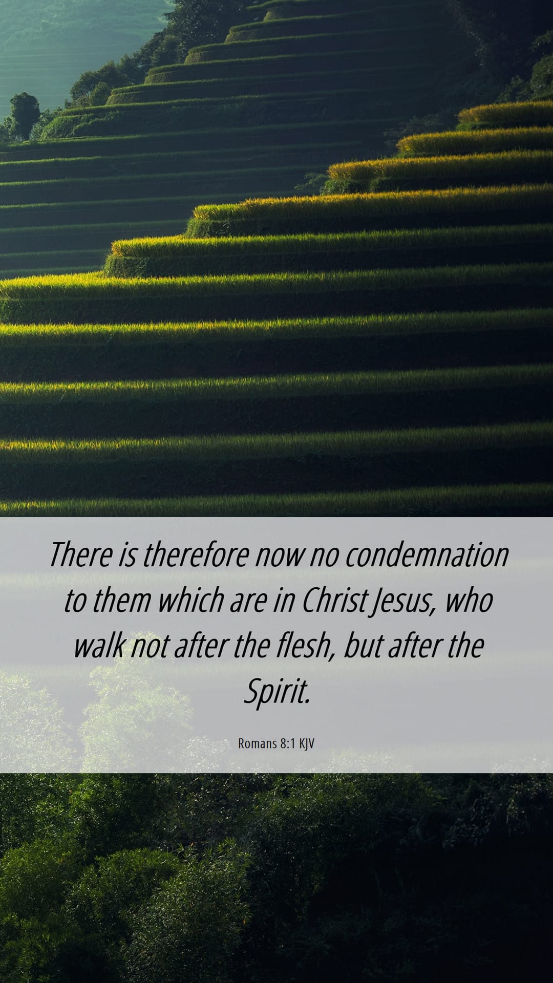 Living Under Grace, Not Guilt