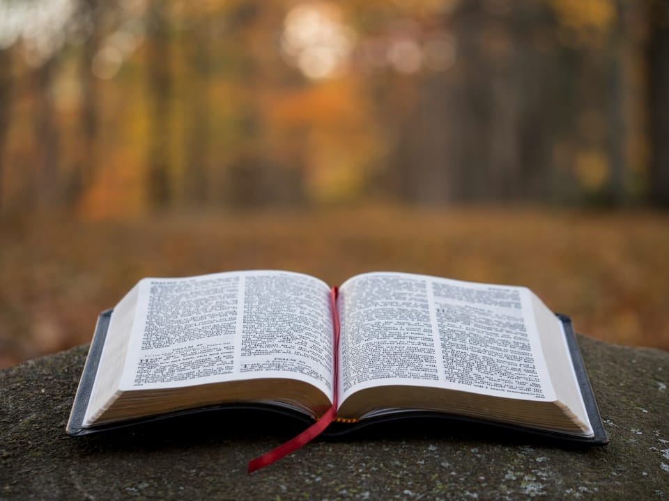 Fear thou not; for I am with thee: be not dismayed; for I am thy God: I will strengthen thee; yea, I will help thee; yea, I will uphold thee with the right hand of my righteousness. (Isaiah 41:10)